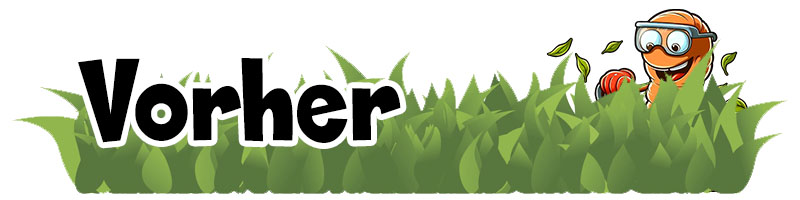 Vorher 1